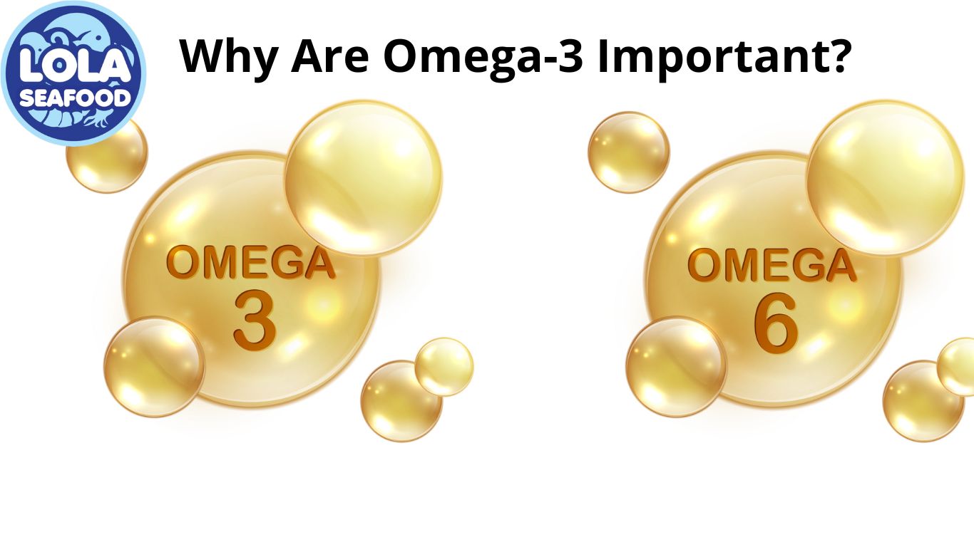 Why Are Omega-3 Important?